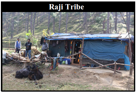 Raji Tribe of Uttarakhand